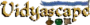 VidyaScape logo